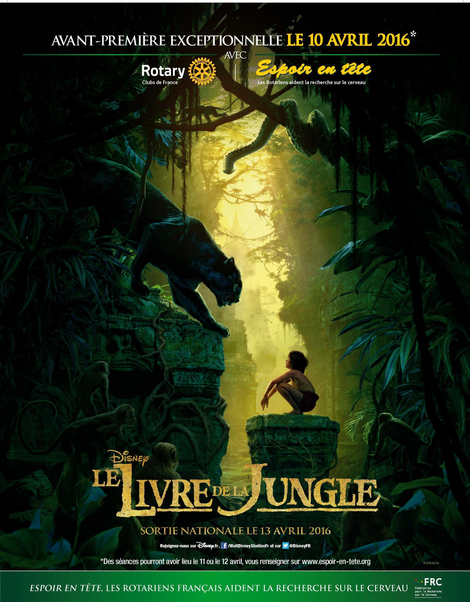 11 livre de la jungle